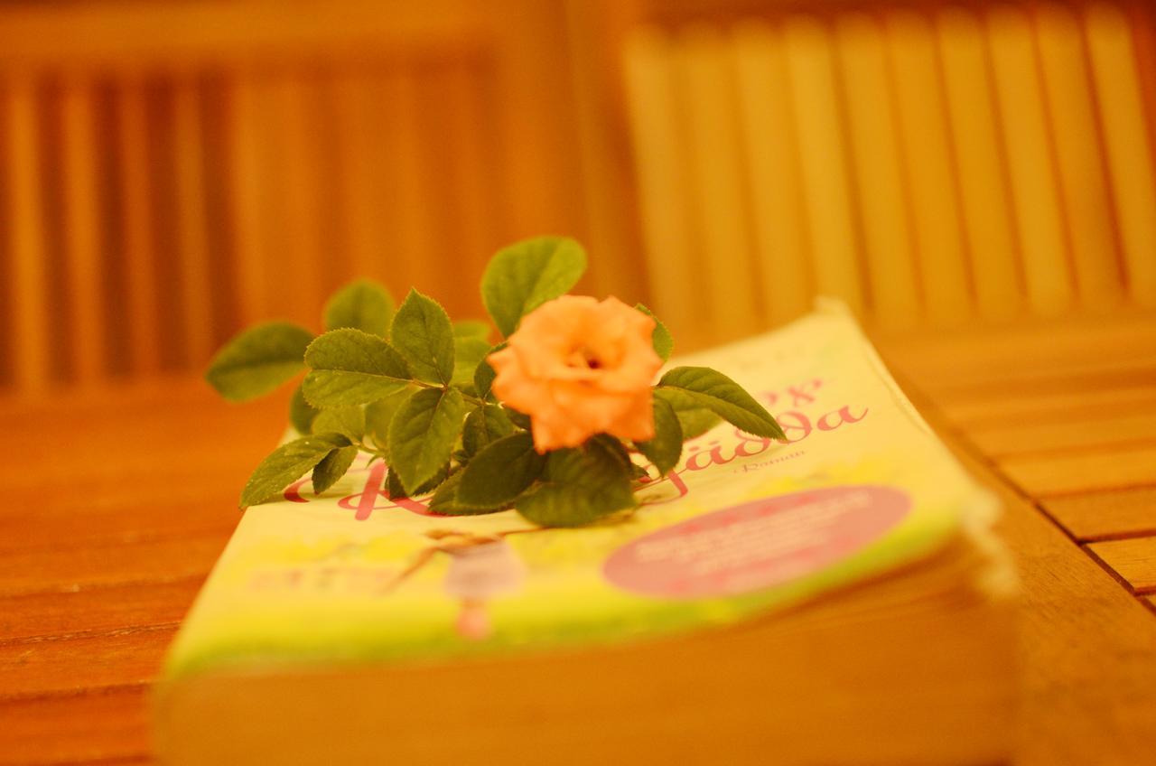 Panda Garden Homestay Хоян Екстер'єр фото